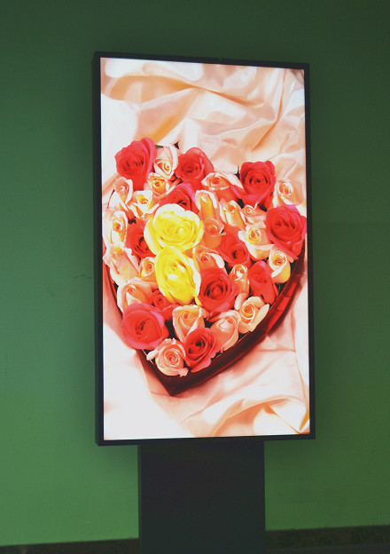 49 Inch Double Sided Digital Signage , Store Window Advertising Signs M490EDCP-DF-SW